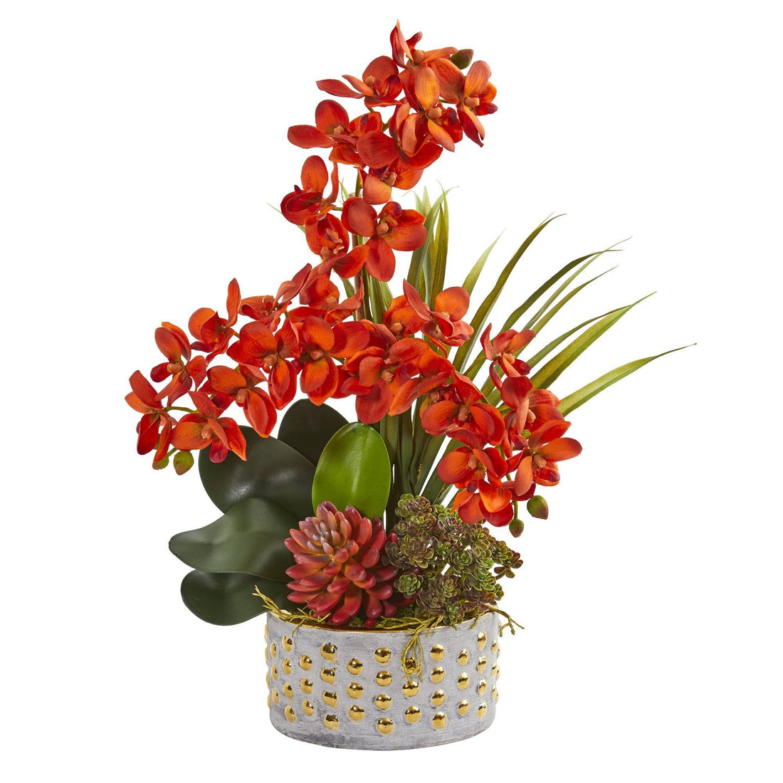 Autumn Phalaenopsis Orchid and Succulent Artificial Arrangement 1954 ...