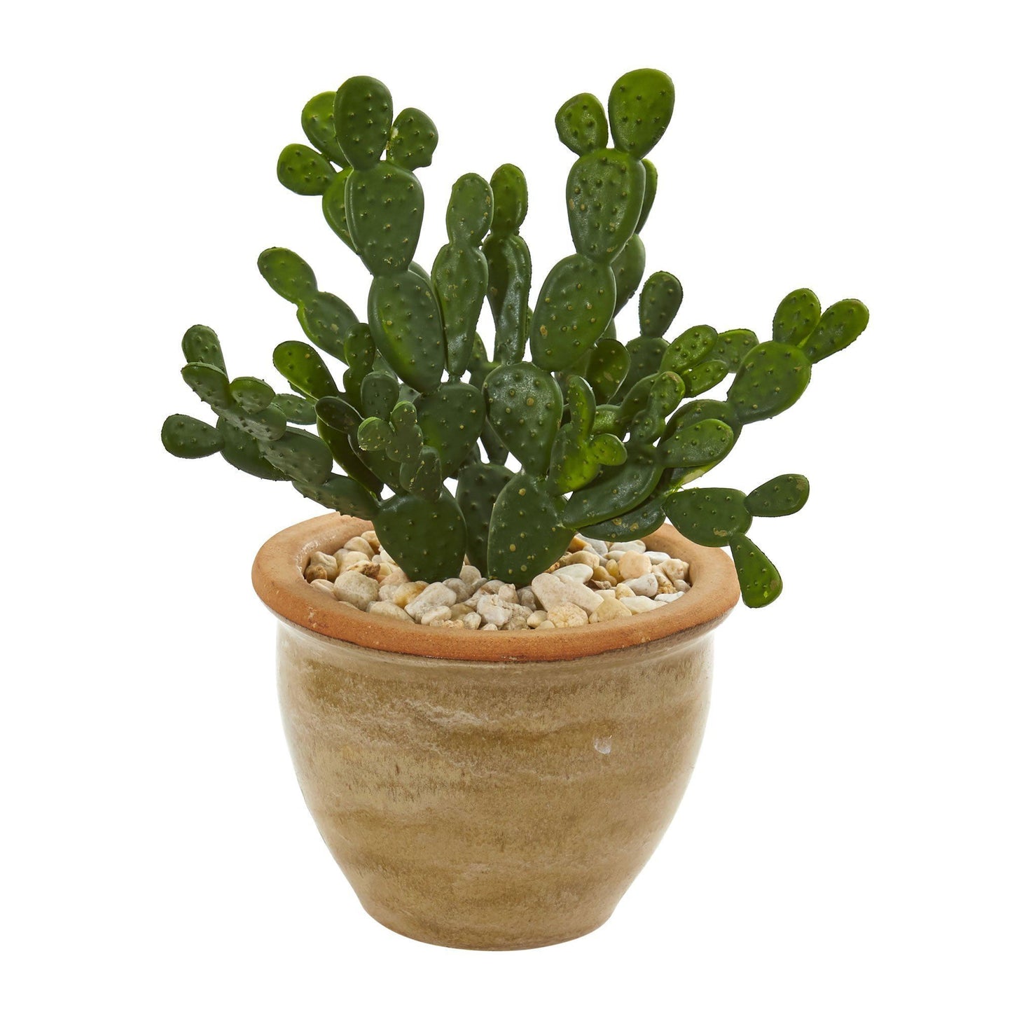 Cactus Succulent Artificial Plant in Ceramic Vase (Set of 2) | Nearly ...