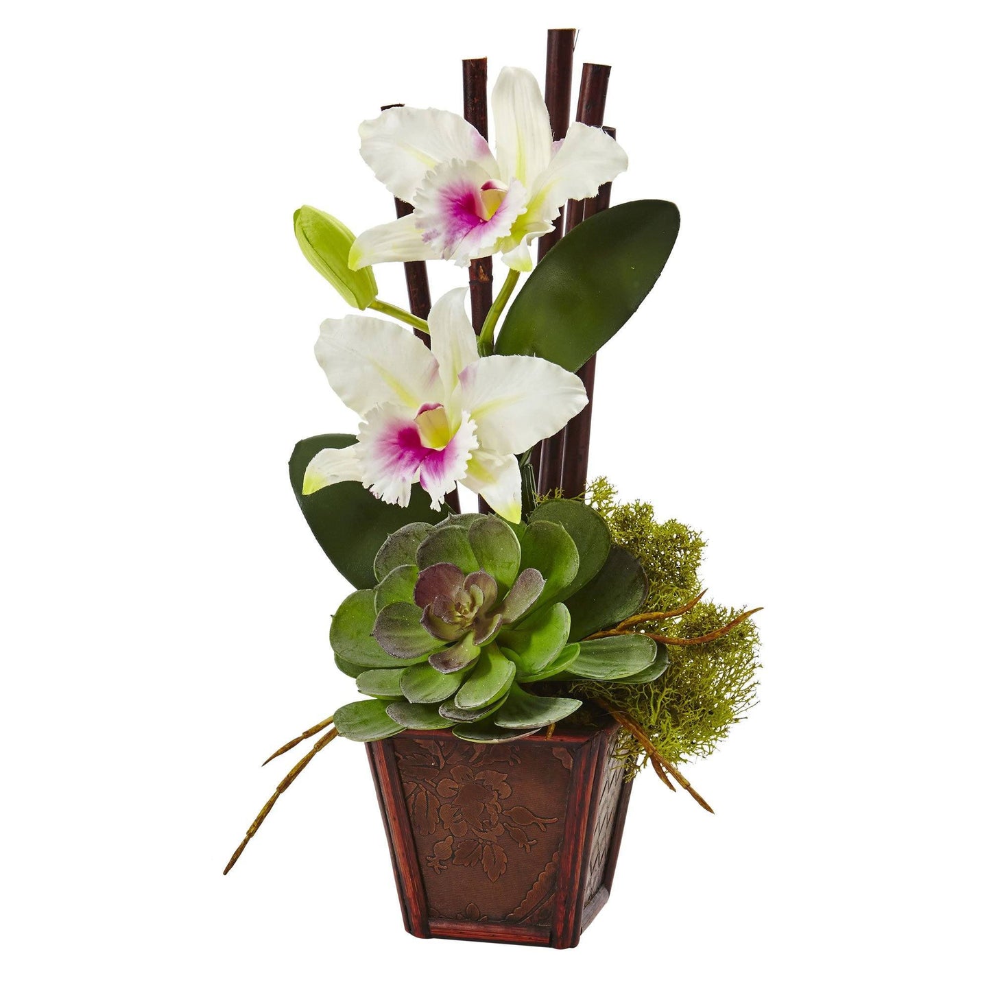 Cattleya Orchid and Succulent Arrangement (Set of 2) 1445-S2 Nearly Natural