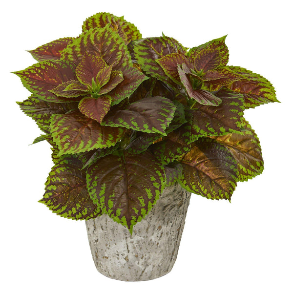 Coleus Artificial Plant in Weathered Oak Planter