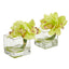 Cymbidium Orchid Artificial Arrangement in Glass Vase (Set of 2)