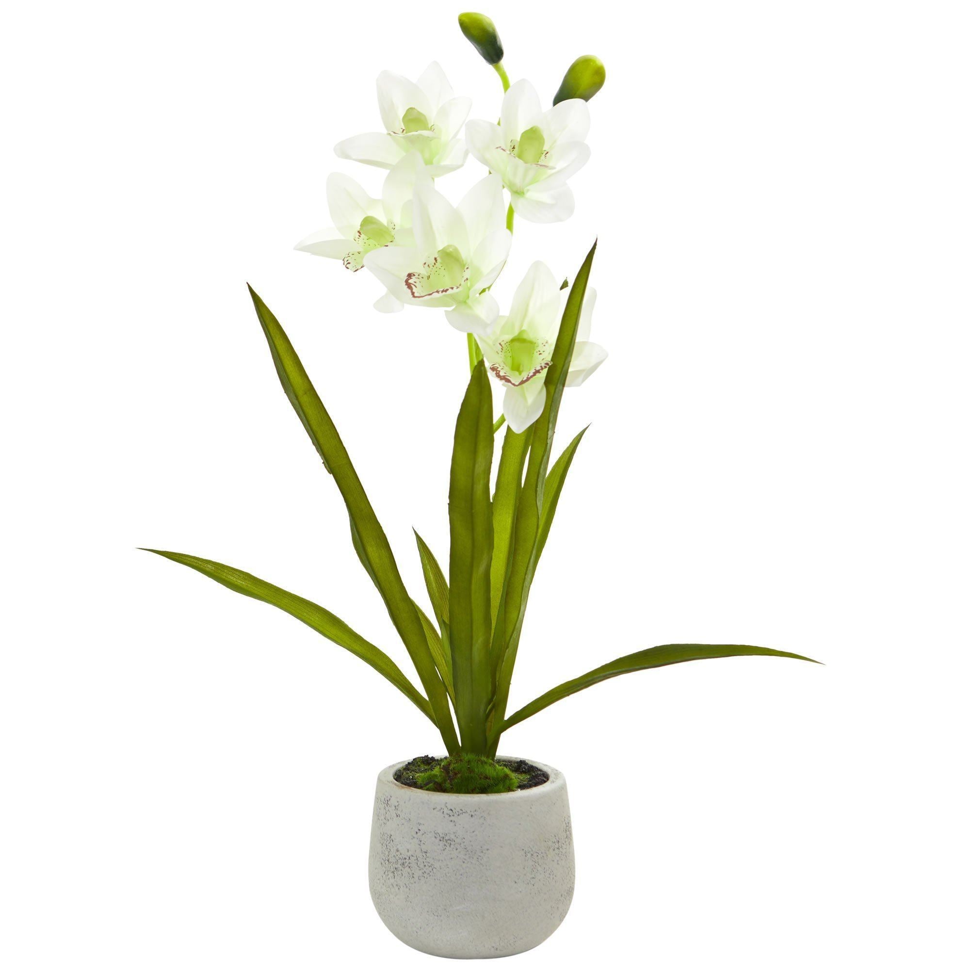 Silk Cymbidium Orchids | Fake Cymbidium Orchids | Nearly Natural