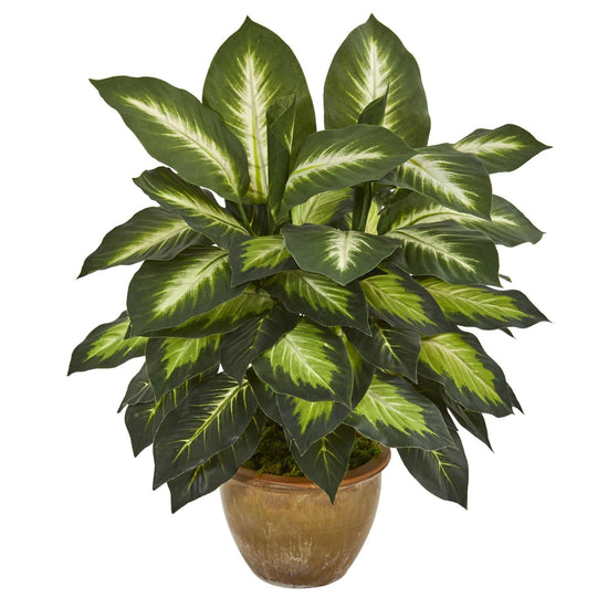 Dieffenbachia Artificial Plant in Ceramic Planter | Nearly Natural