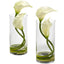 Double Calla Lily w/Cylinder (Set of 2)