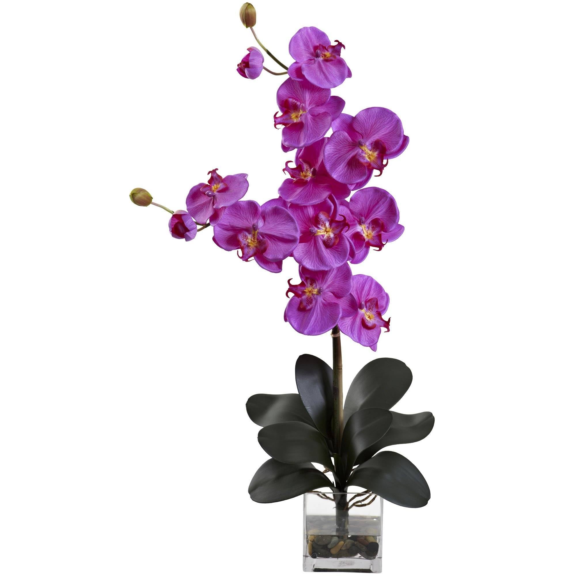 Double Giant Phalaenopsis w/Vase 1352 Nearly Natural