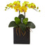 Double Mini Phalaenopsis in Black Vase