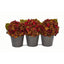 Fall Hydrangea Artificial Arrangement in Metal Planter