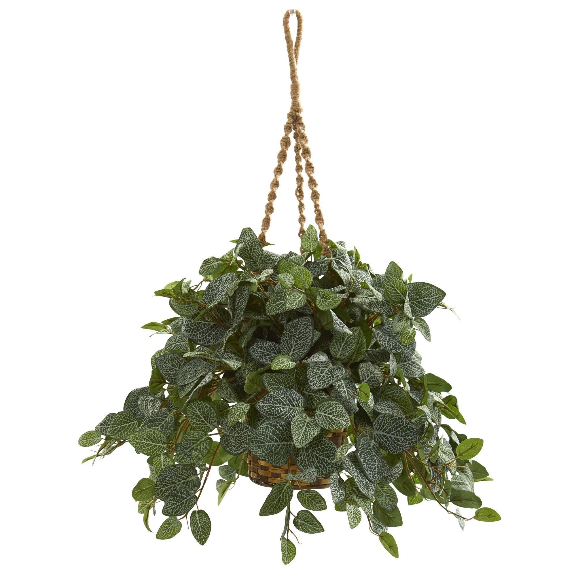 Fittonia Artifical Plant in Hanging Basket | Nearly Natural