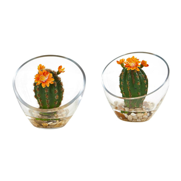 Flowering Cactus Artificial Plant in Glass Vase (Set of 2)