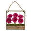 Gerber Daisy Garden in Hanging Frame