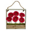 Gerber Daisy Garden in Hanging Frame