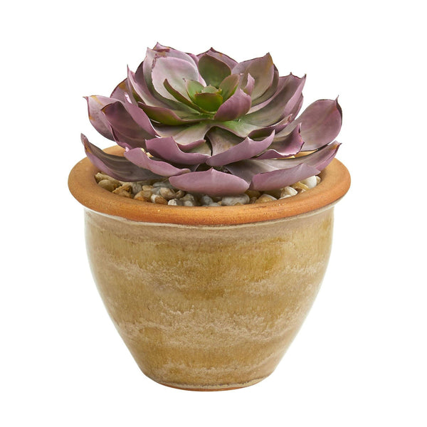 Large Succulent Artificial Plant in Ceramic Vase (Set of 2)