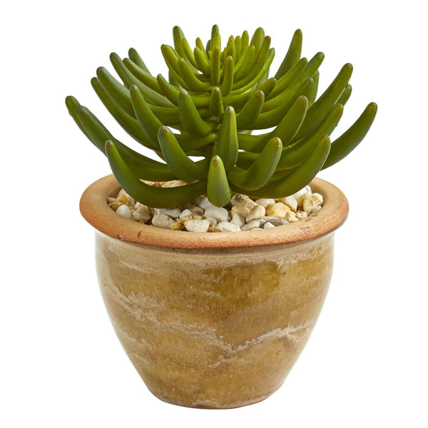 Large Succulent Artificial Plant in Ceramic Vase (Set of 2)