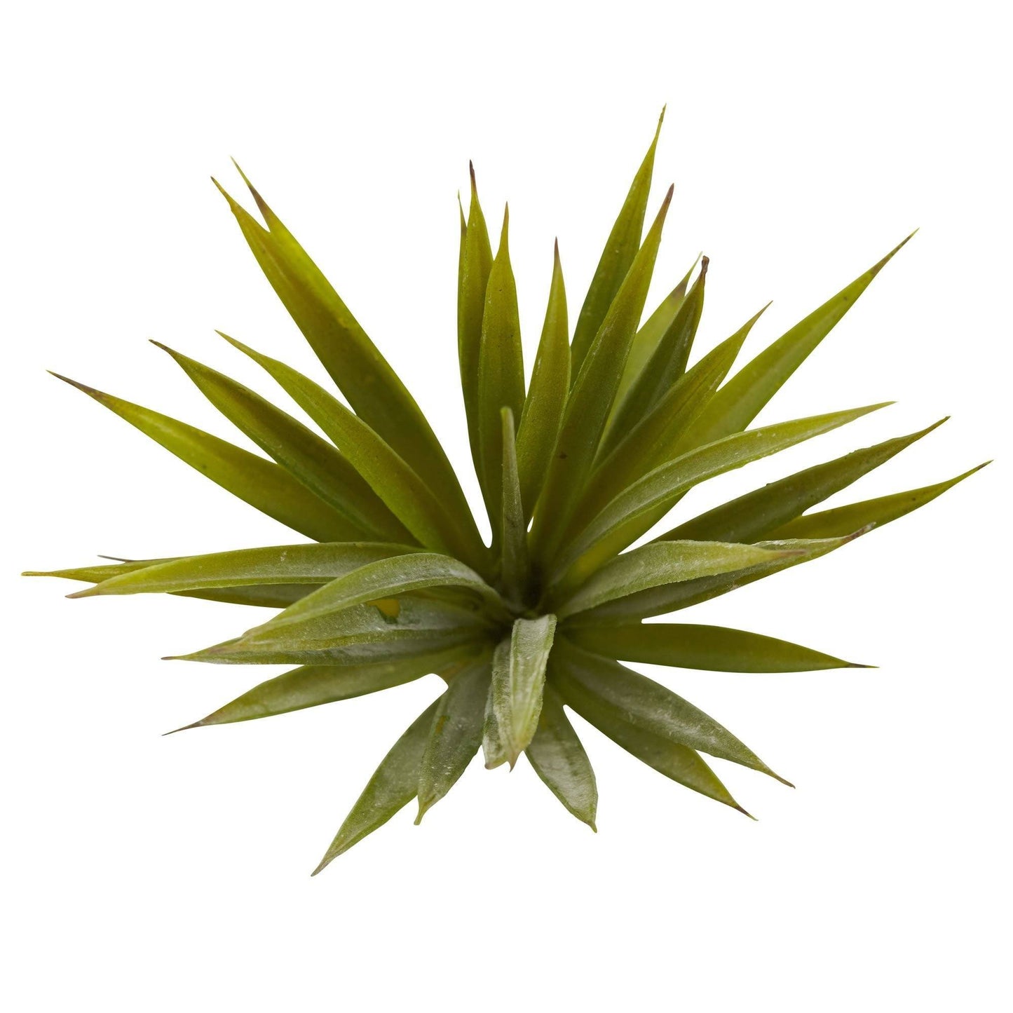 Mini Spiky Agave Succulent Plant (Set of 12) | Nearly Natural