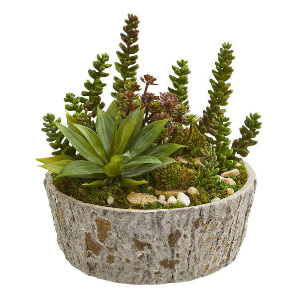 Mini Succulent Garden Artificial Plant in Weathered Oak Planter