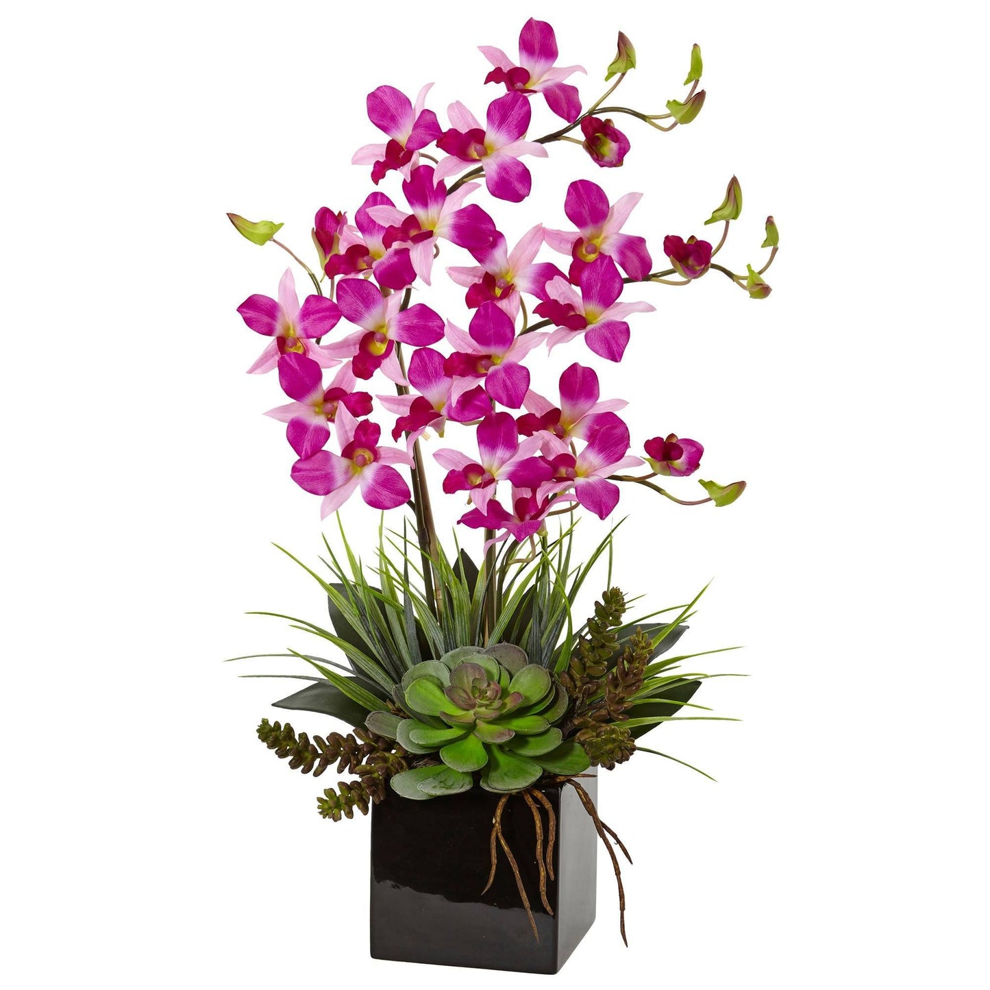 Orchid and Succulent Arrangement in Black Vase 1511 Nearly Natural