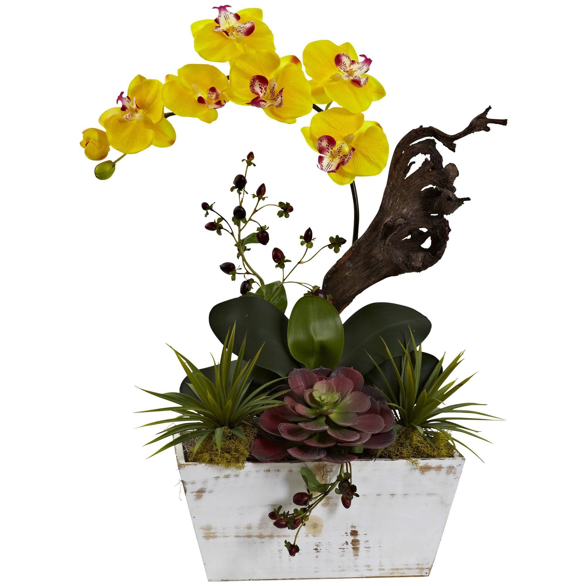 Nearly Natural Orchid and Succulent Garden with White deals Wash Planter-jay