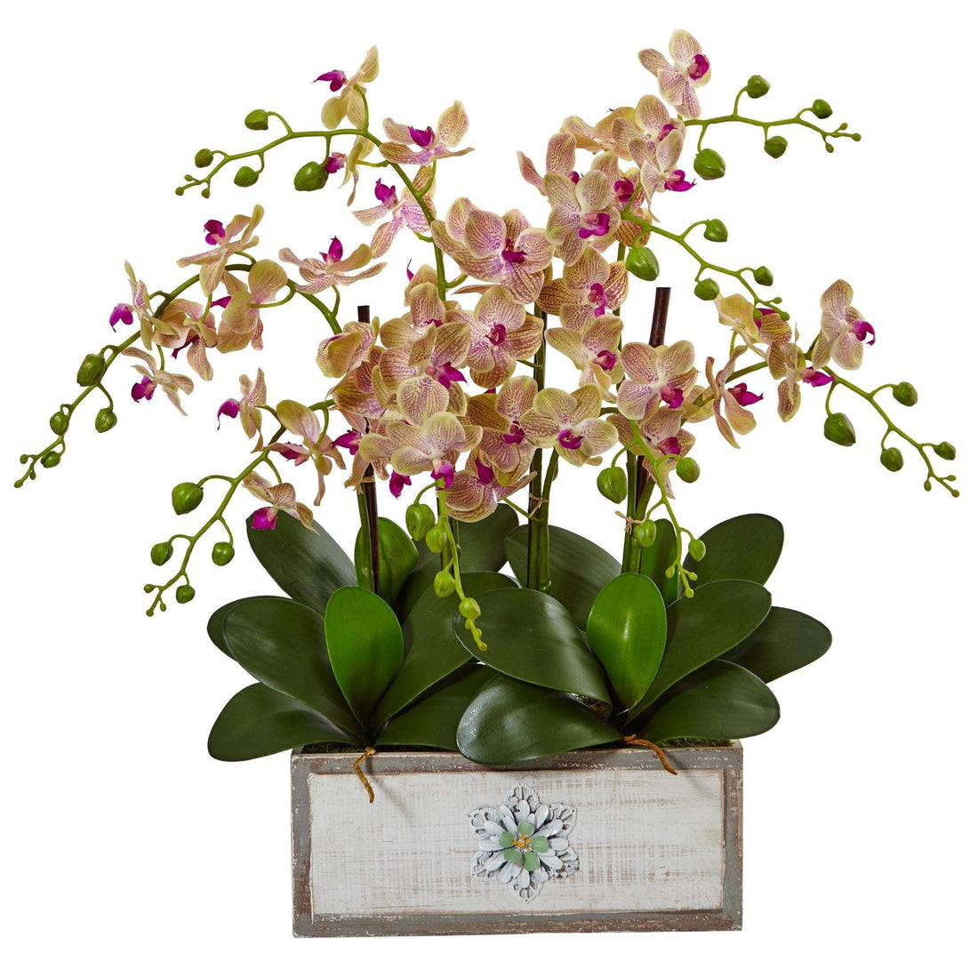 Phalaenopsis Orchid Arrangement in Decorative Wood Vase | Nearly Natural