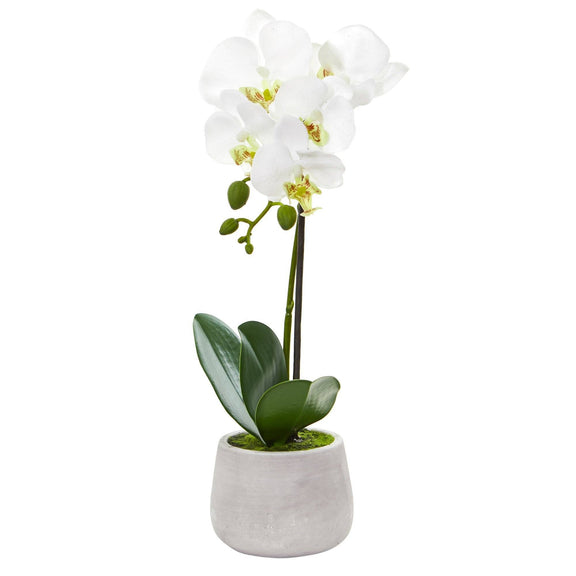 Phalaenopsis Orchid Artificial Arrangement (Set of 2) | Nearly Natural