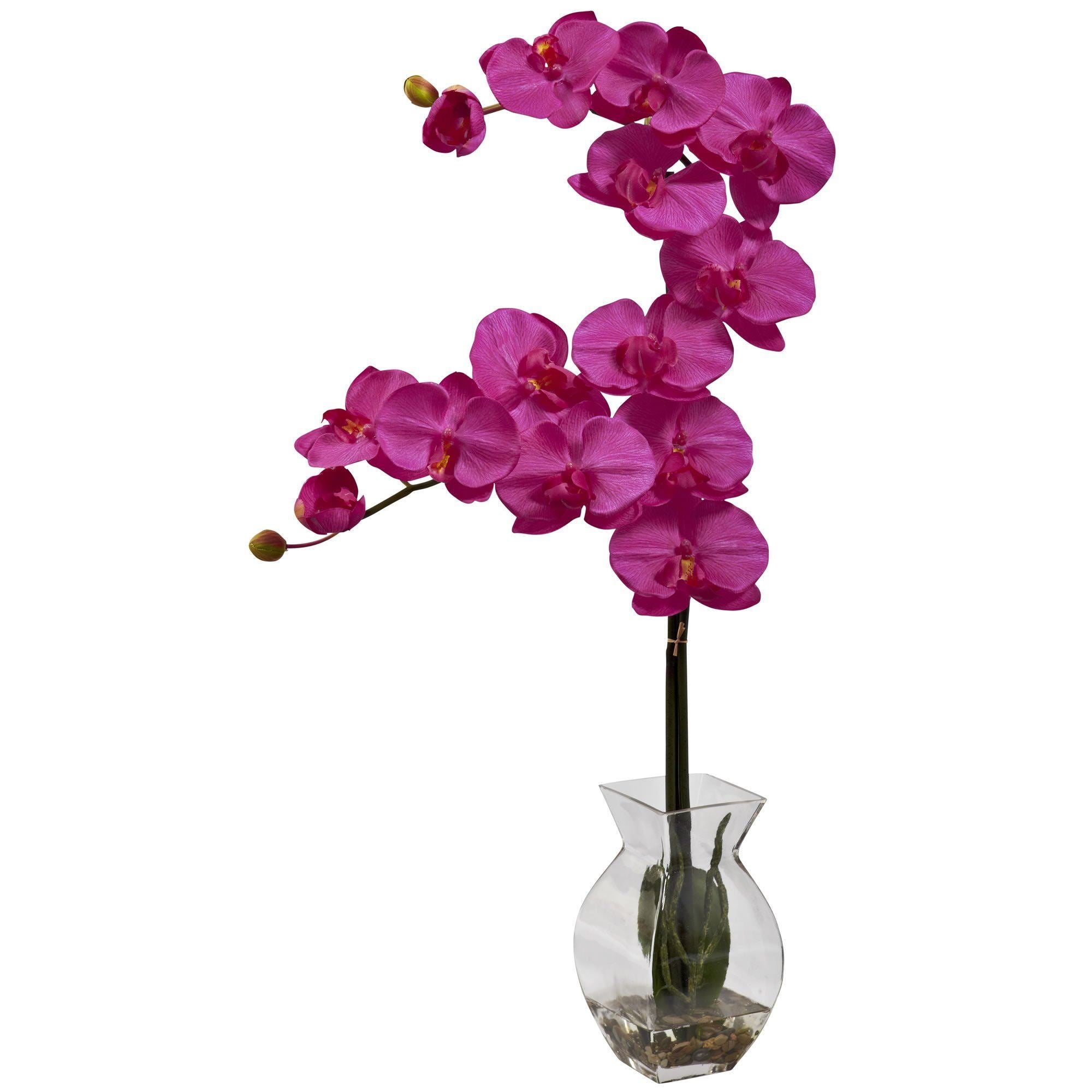 Phalaenopsis Orchid w/Vase Arrangement 1295 Nearly Natural