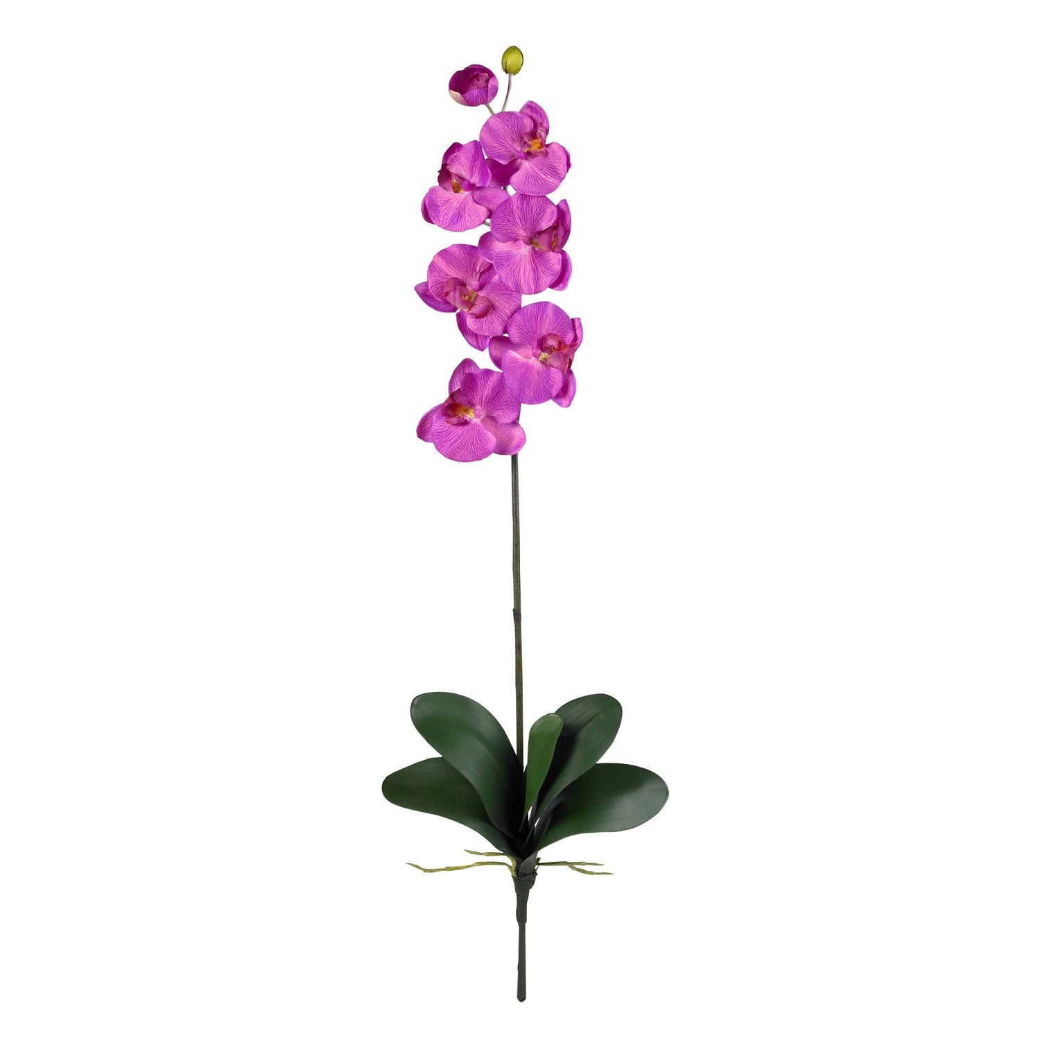 Nearly Natural Phalaenopsis Silk Orchid Flower Stems - Beauty, Set of 12 -  Artificial Flowers - Silk Flowers