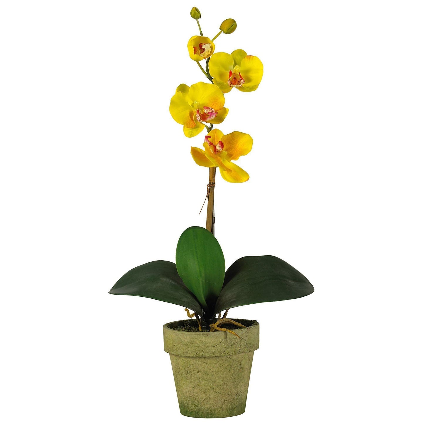 Potted Phalaenopsis (Set of 3) | Nearly Natural