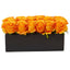 Roses in Rectangular Planter