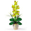 Single Stem Phalaenopsis Silk Orchid Arrangement