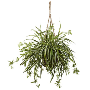 Spider Plant Hanging Basket | Nearly Natural