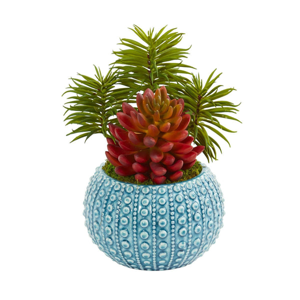 Succulent Artificial Plant in Blue Vase (Set of 2)