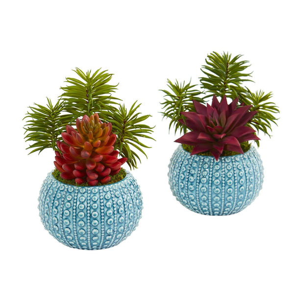 Succulent Artificial Plant in Blue Vase (Set of 2)