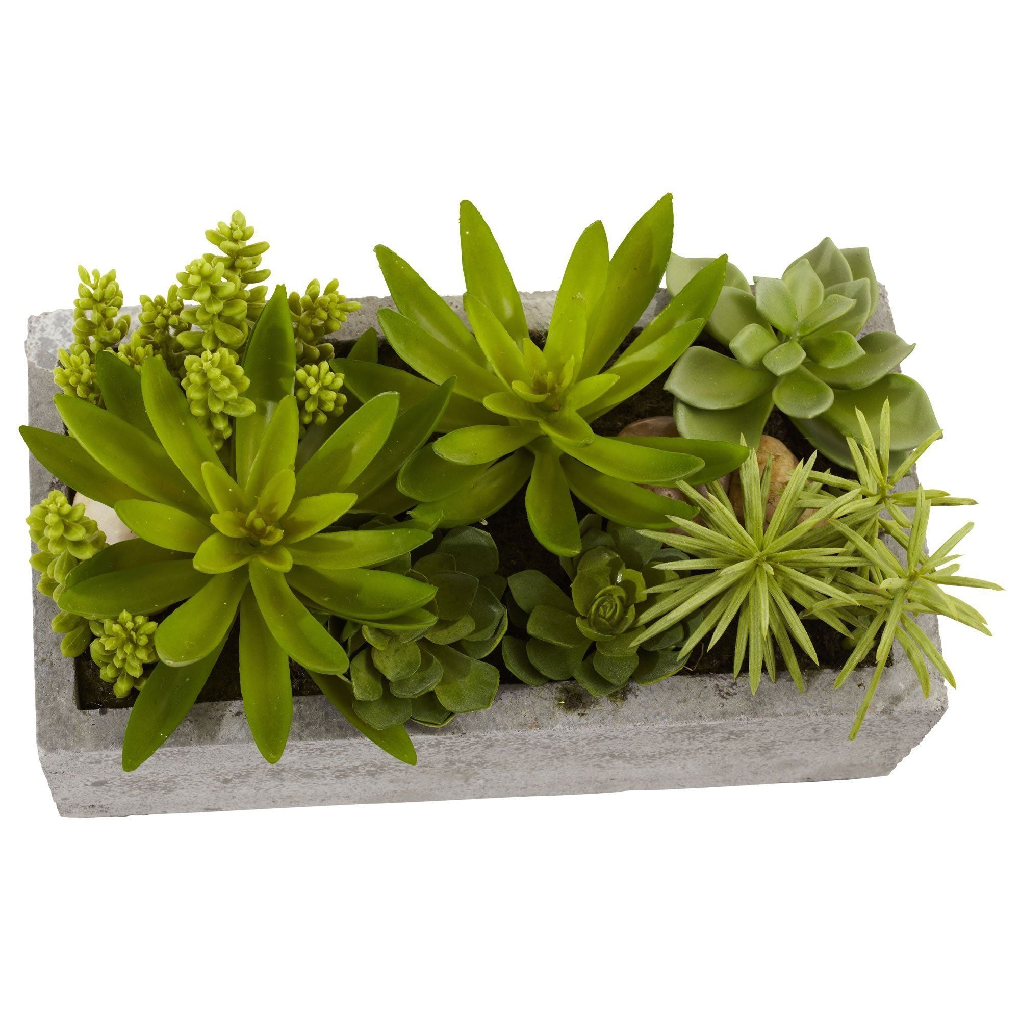 Succulent Garden w/Concrete Planter | Nearly Natural