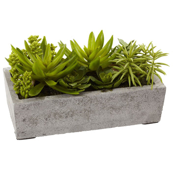 Succulent Garden w/Concrete Planter | Nearly Natural