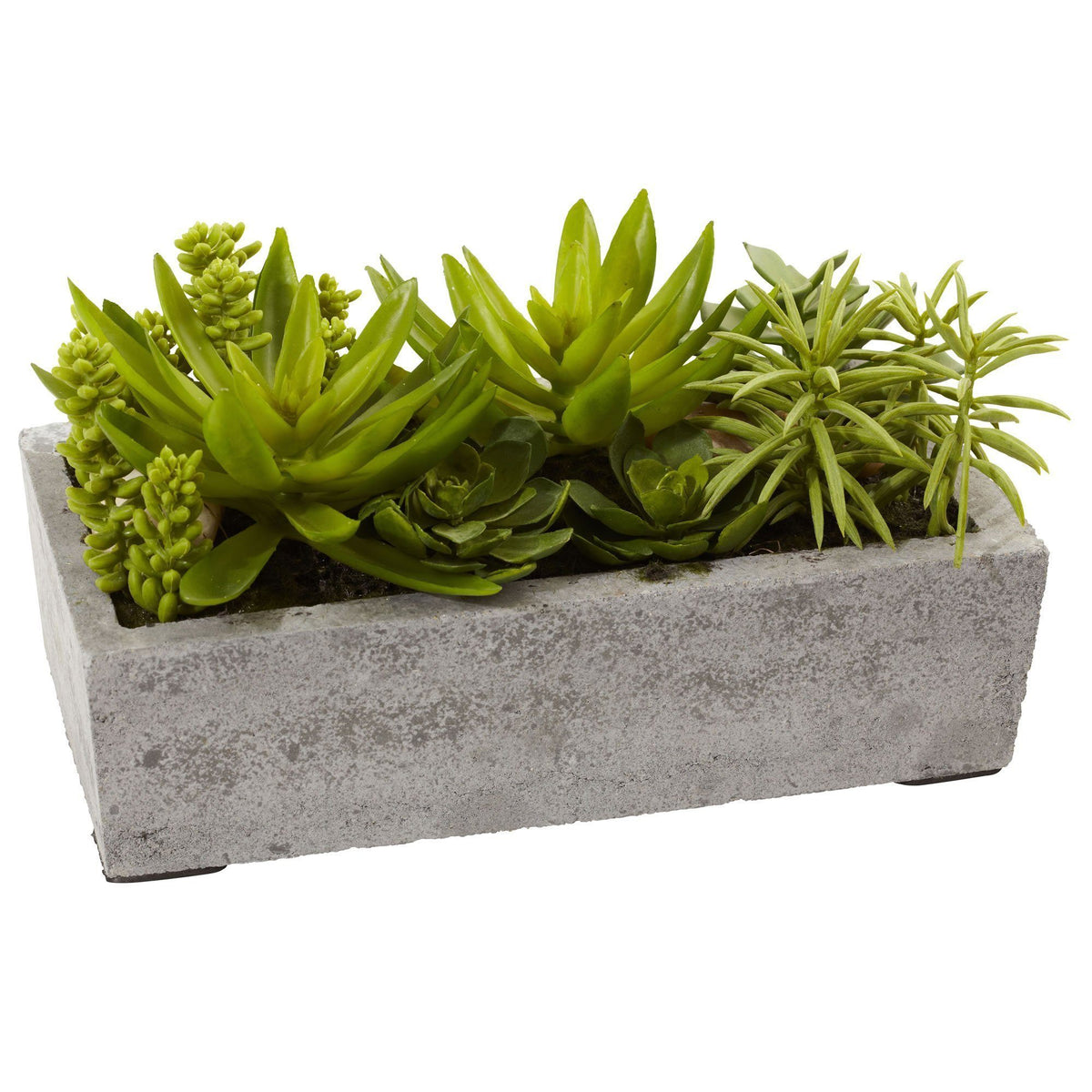 Artificial Succulents | Nearly Natural