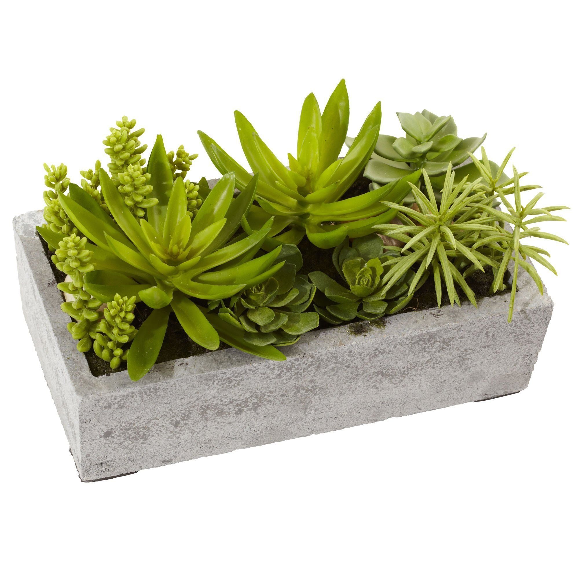 Nearly Natural Orchid and Succulent Garden hotsell with White Wash Planter-jay