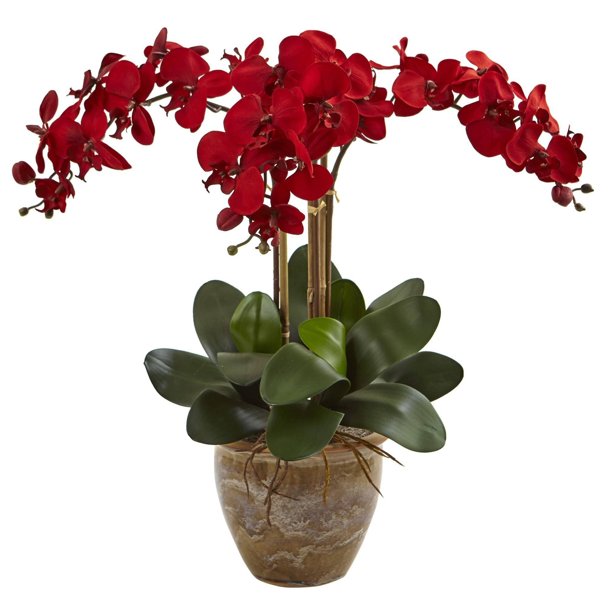 Triple Stem Phalaenopsis Arrangement Seasonal 1515 Nearly Natural