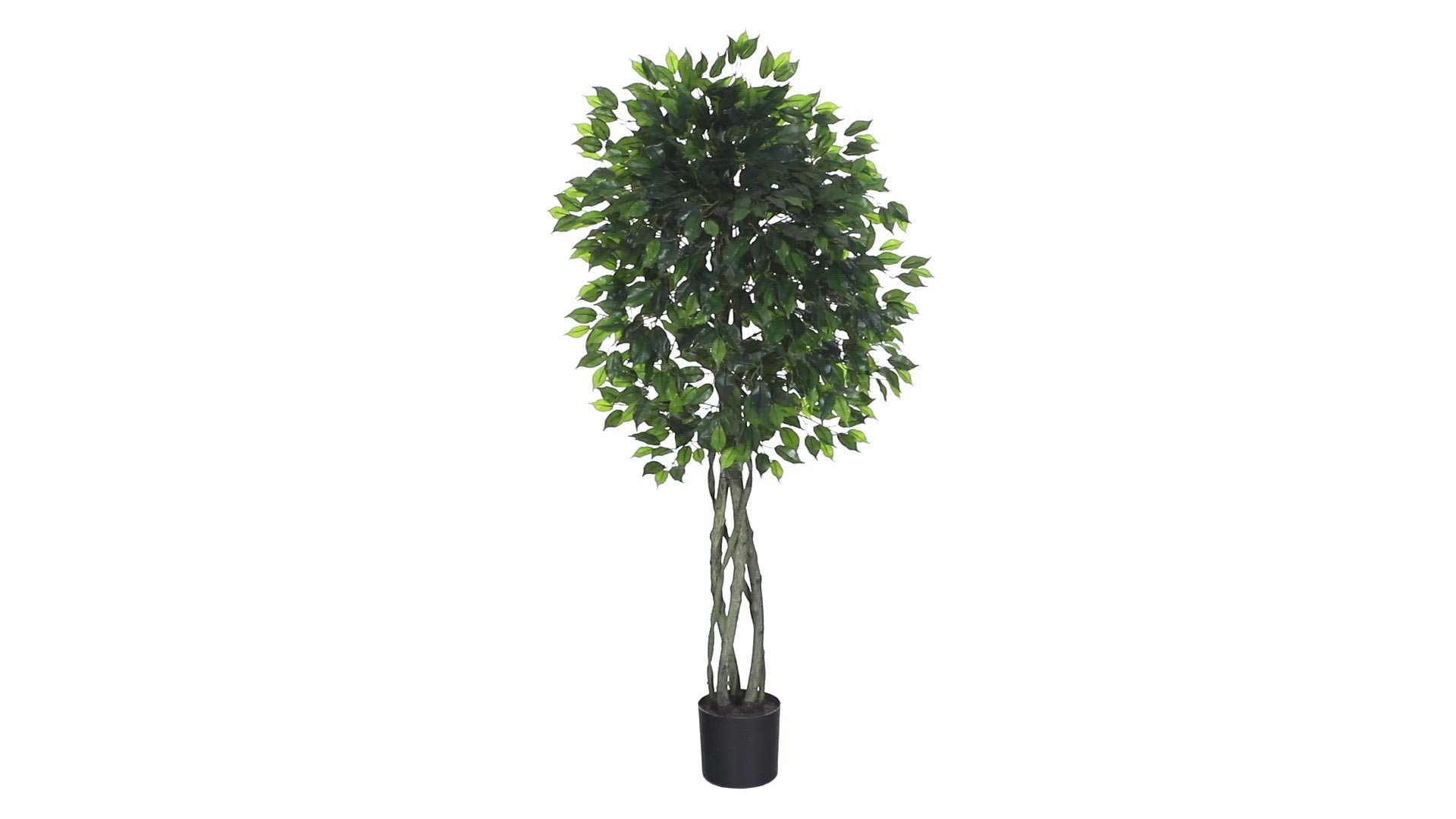 5 Ft Nearly Natural Ficus Artificial Tree with Curved newest Trunk